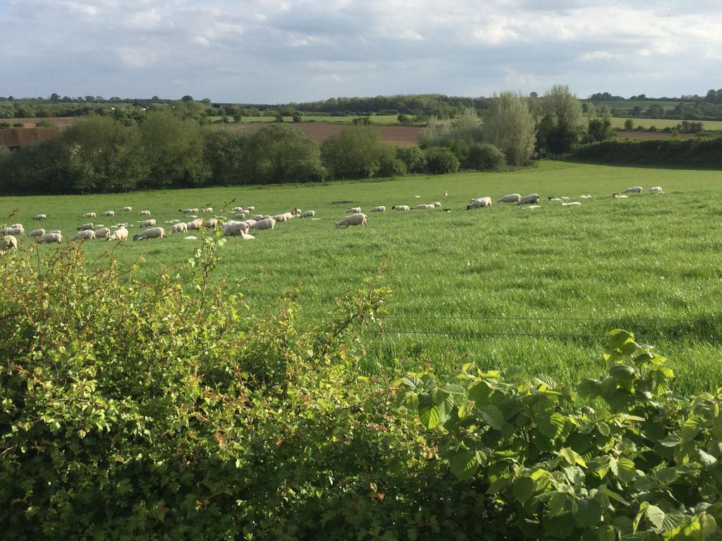 Abbey Farm Glamping & Cottage Thame Esterno foto